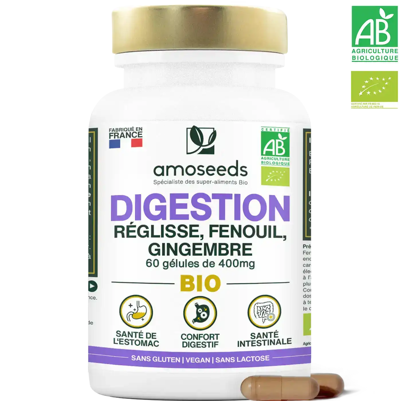 Digestion | Transit