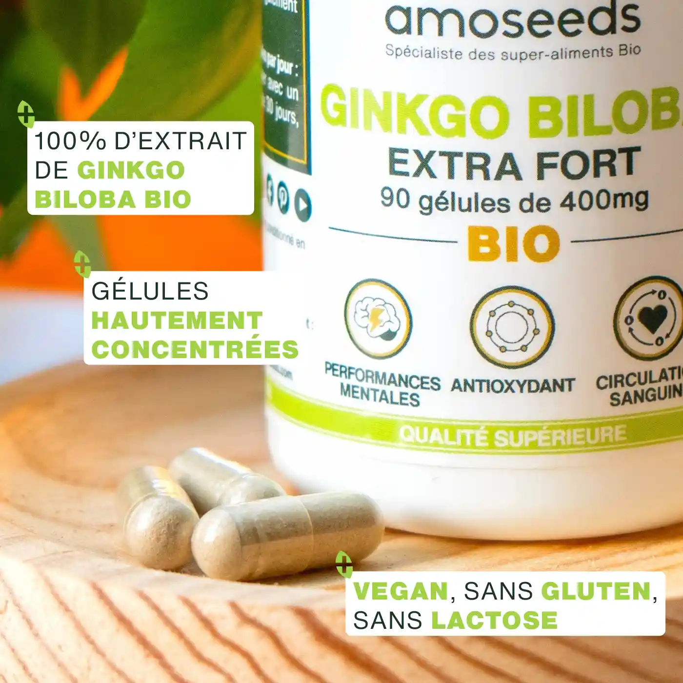Ginkgo Biloba Bio, Extra Fort | 90 gélules - Image 3