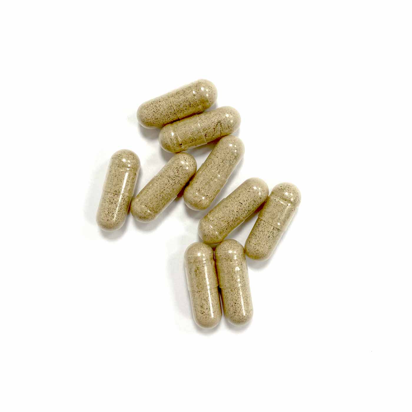 Ginkgo Biloba Bio, Extra Fort | 90 gélules - Image 5