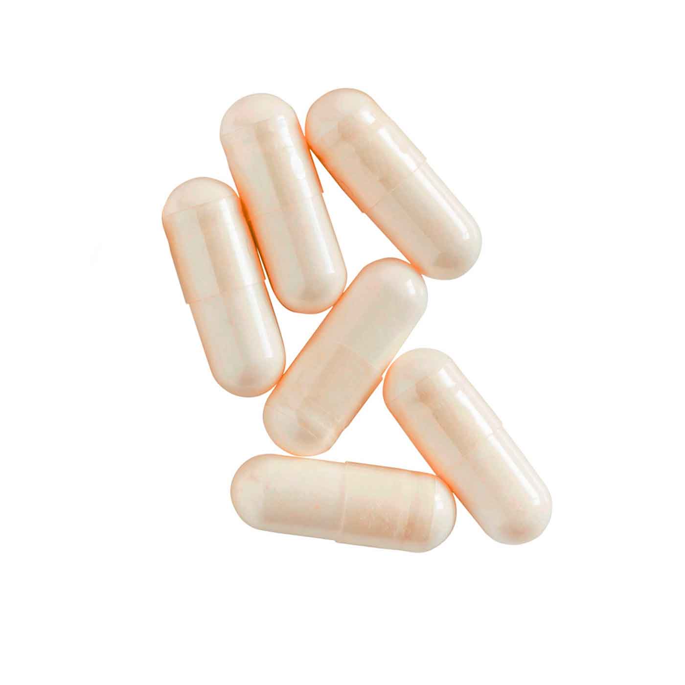 Ginseng Rouge Bio, Hautement Dosé | 60 gélules - Image 5