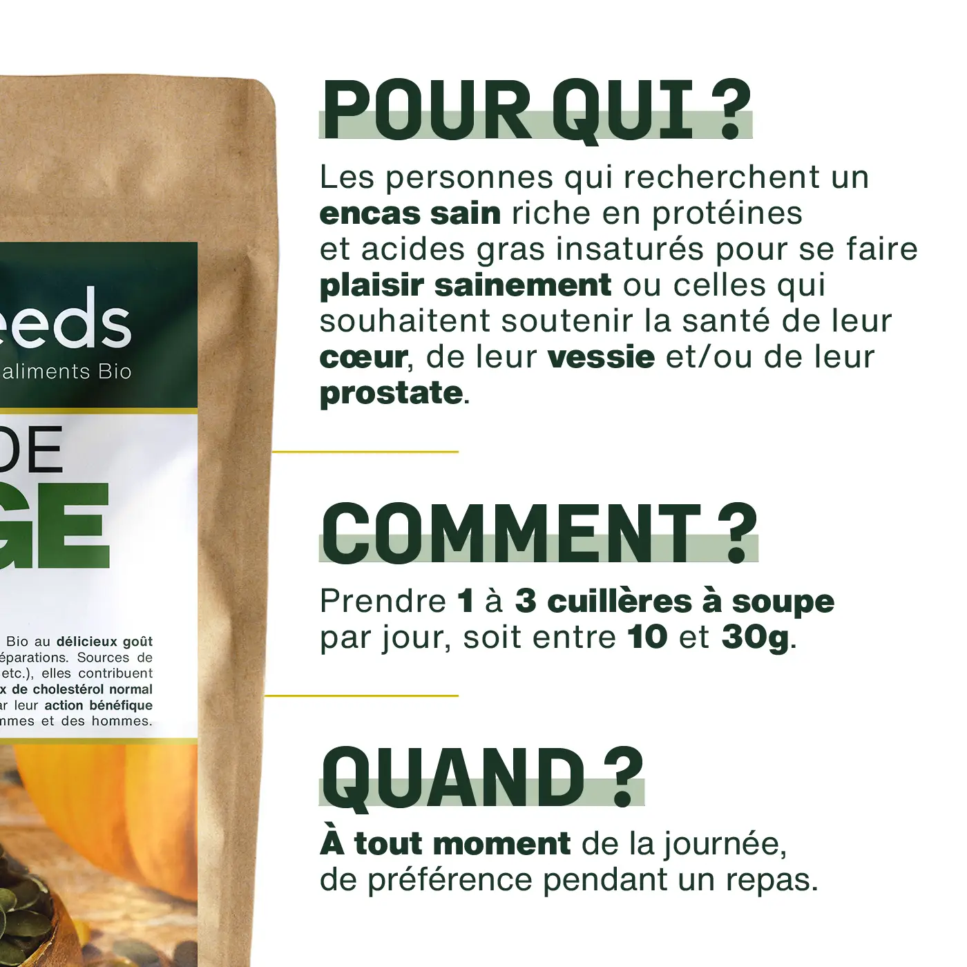 Graines de Courge Bio 1KG - Image 4