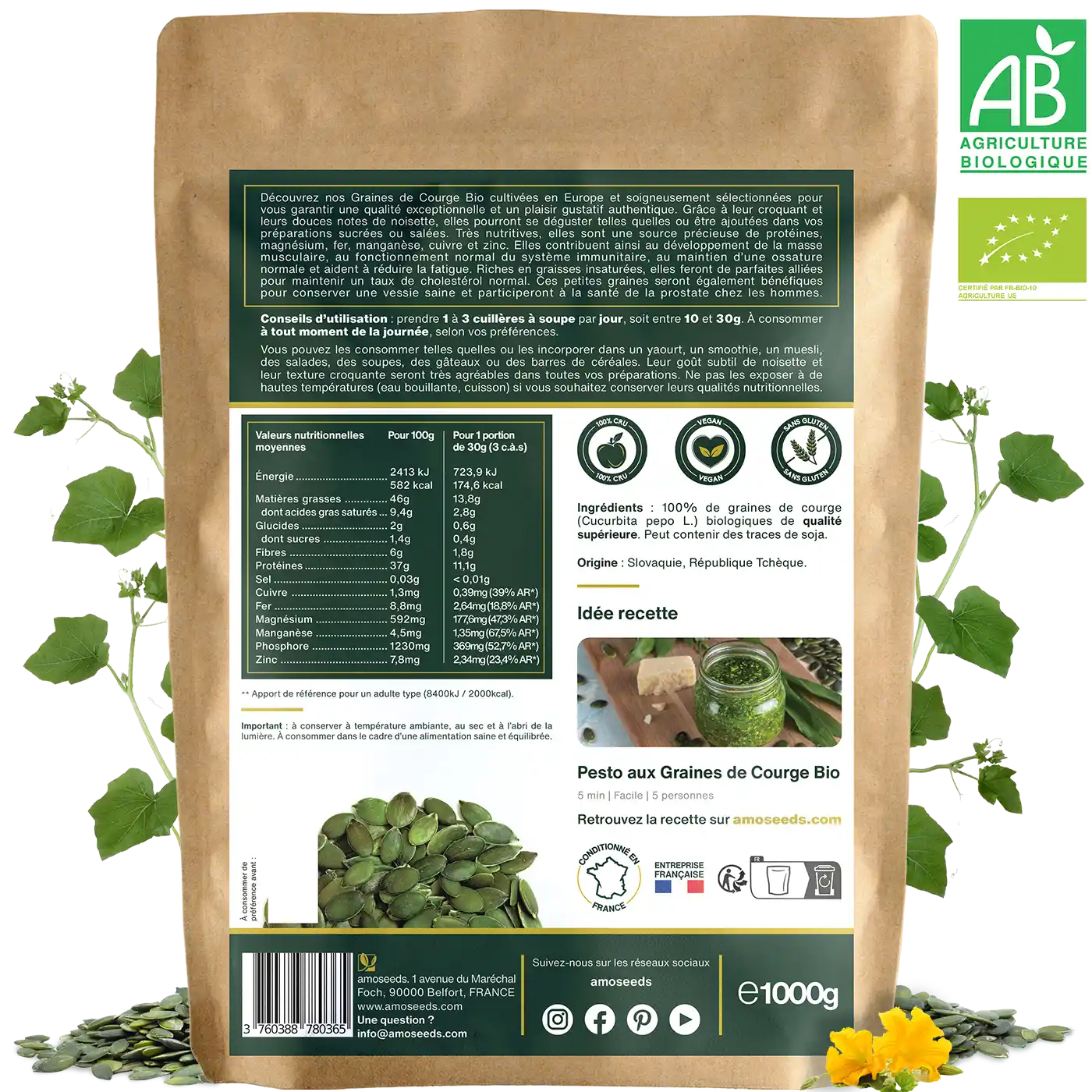 Graines de Courge Bio 1KG - Image 5