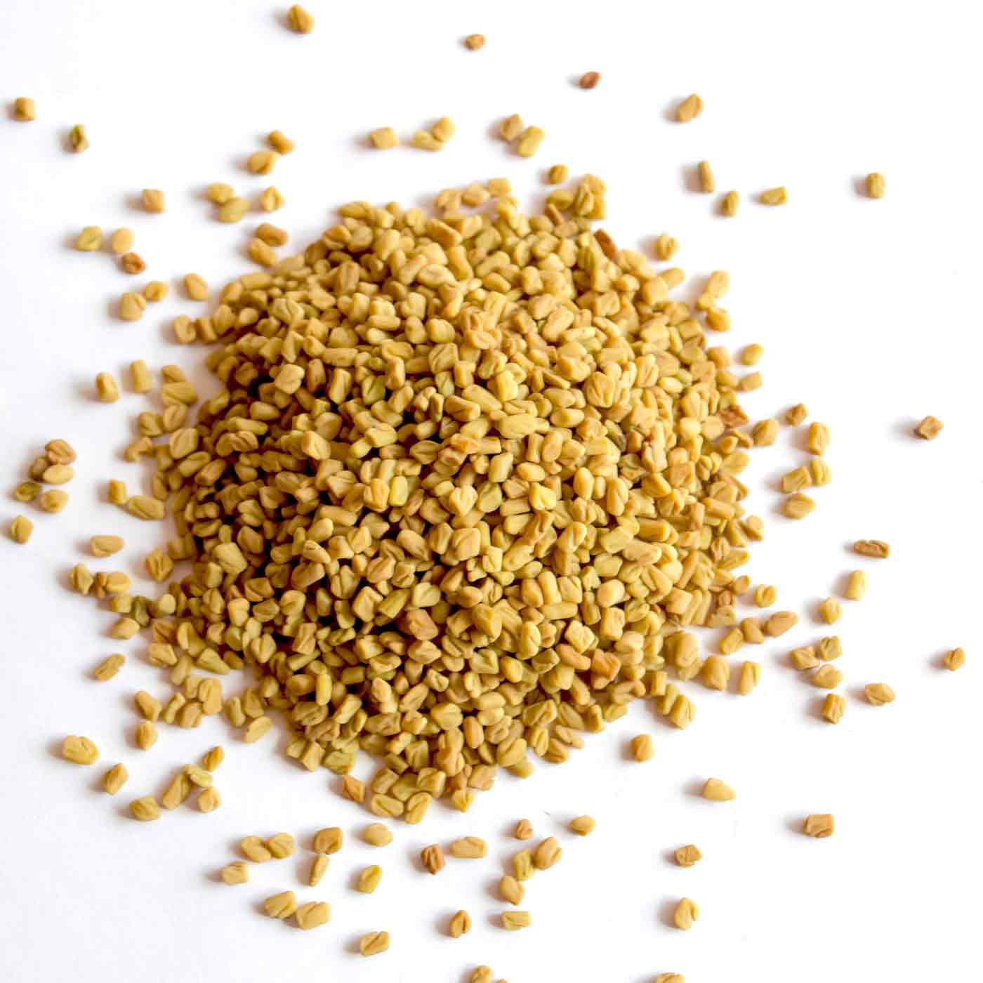 Graines de Fenugrec Bio 500g - Image 5