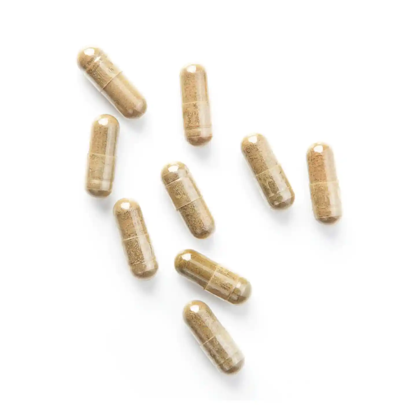 Hericium Bio, 37% Polysaccharides | 120 gélules - Image 5