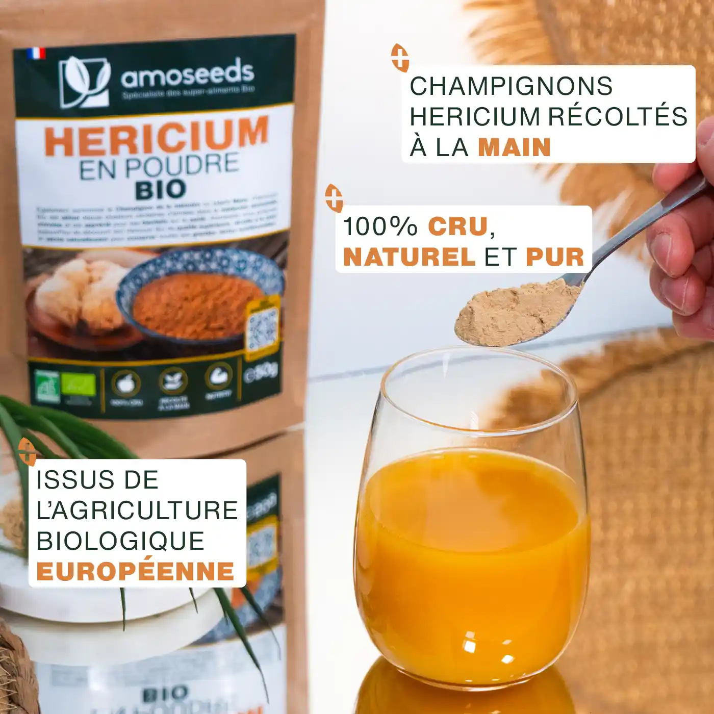 Hericium en Poudre Bio 150g - Image 3