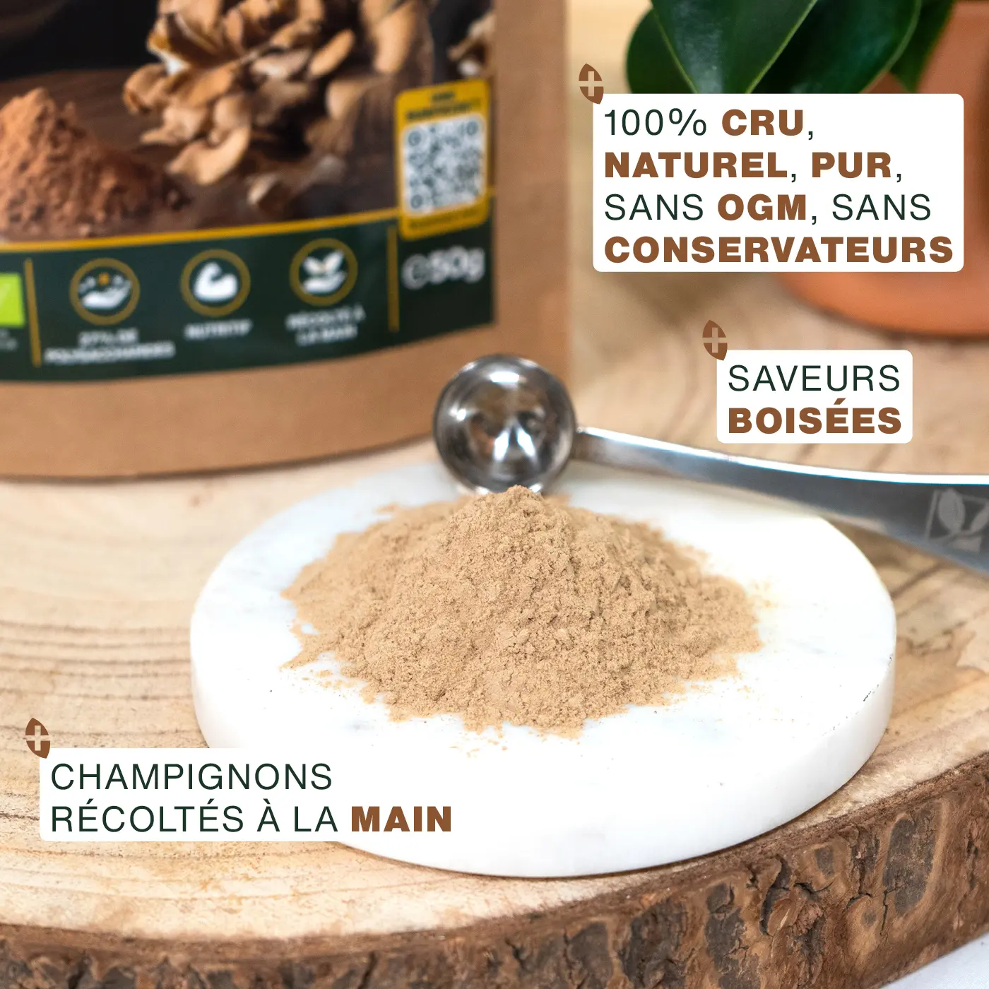 Maïtaké en poudre Bio 50G - Image 3