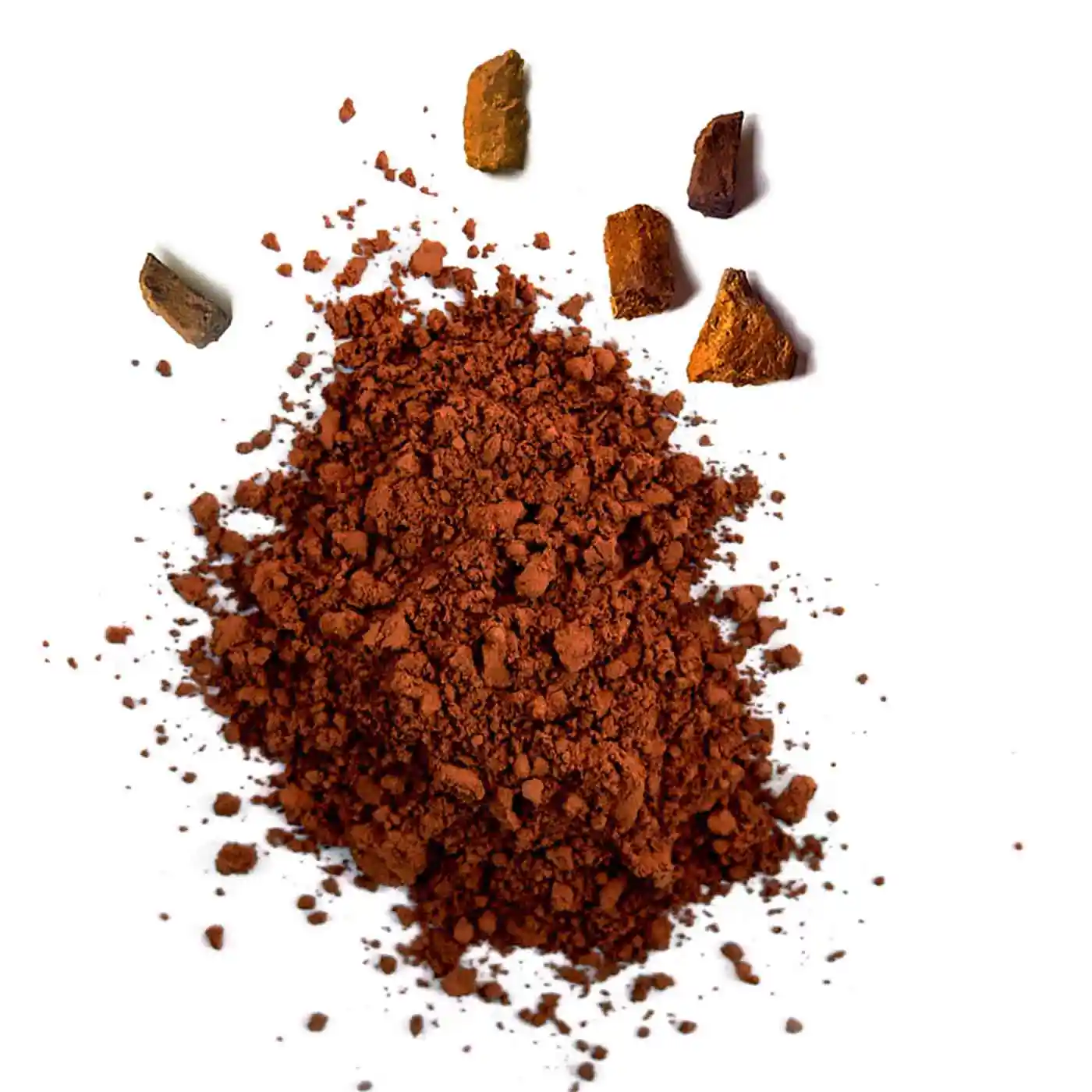Poudre de Chaga Bio 150g - Image 5