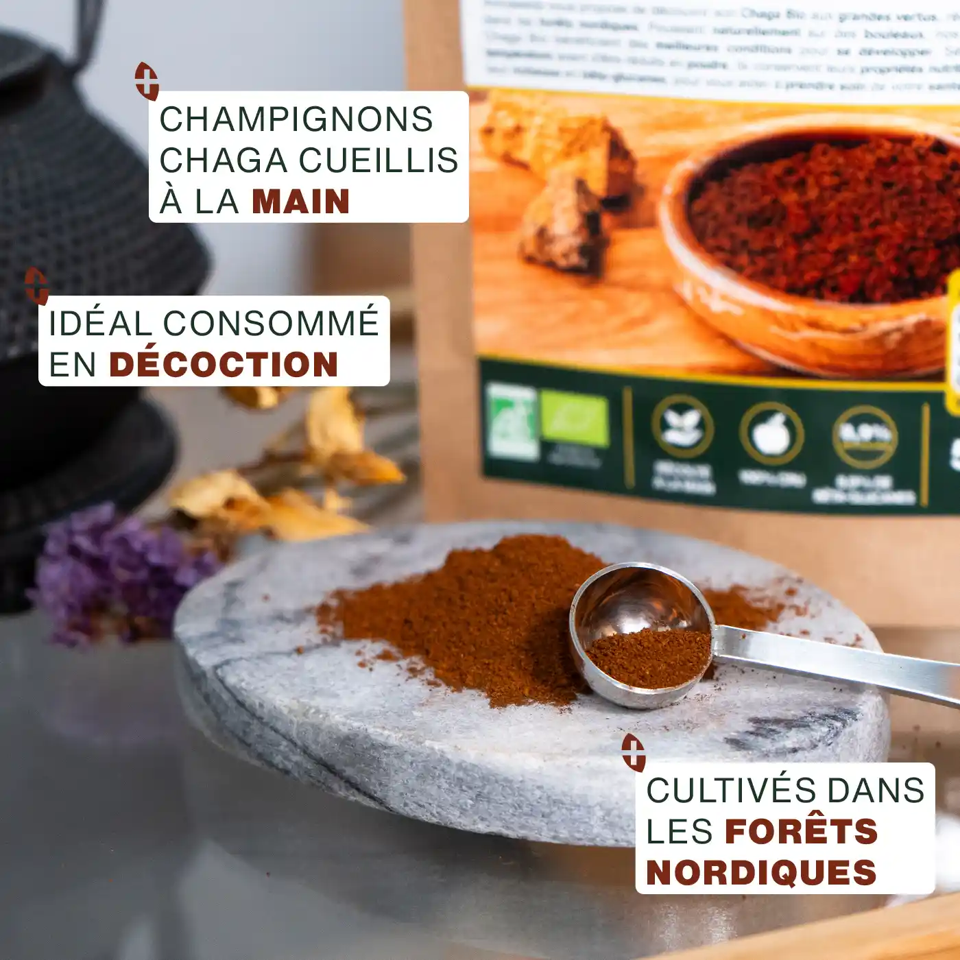 Poudre de Chaga Bio 50g - Image 3