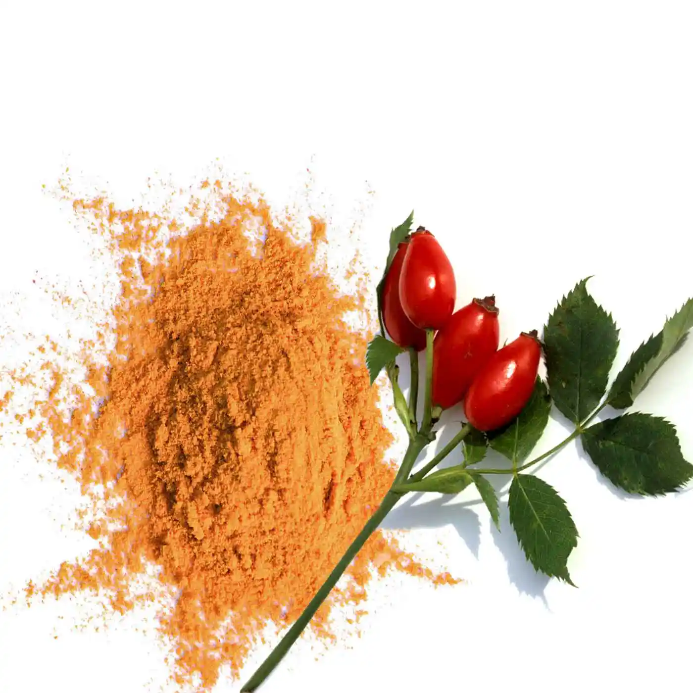 Poudre de Cynorrhodon Bio 250g - Image 5