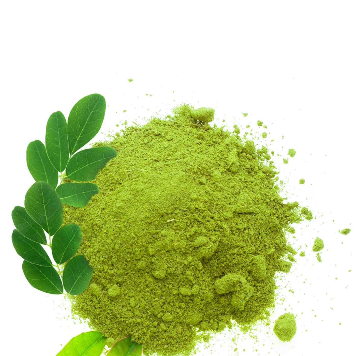 Poudre de Moringa Bio 500g - Image 6