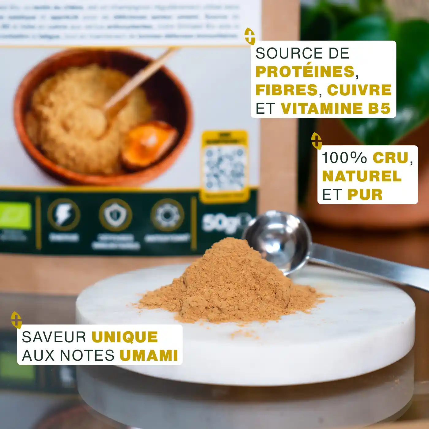 Shiitaké en Poudre Bio 50g - Image 3