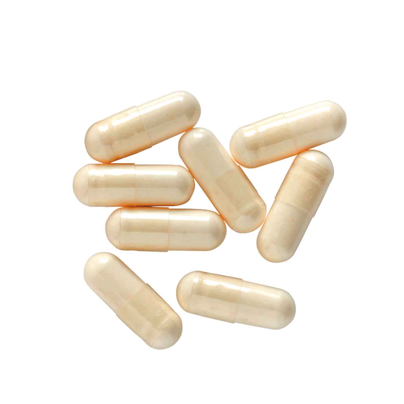 Psyllium Blond Bio, Téguments purs à 99%  | 180 gélules de 500mg - Image 6